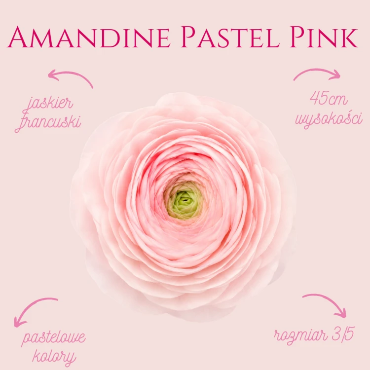 Jaskier Amandine Pastel Pink