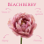 Tulipan - Beachberry
