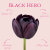 Black Hero
