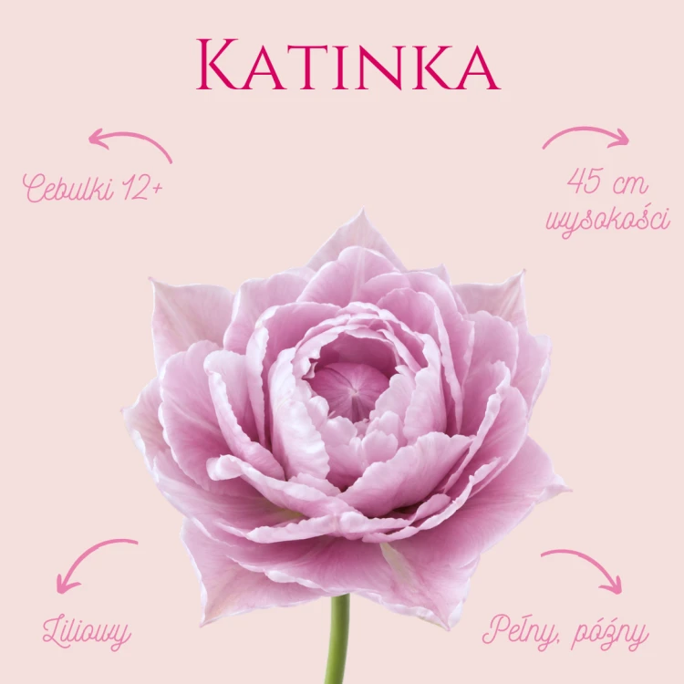 Katinka