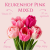 Keukenhof Pink Mixed