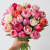 Keukenhof Pink Mixed