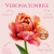 Tulipan Verona Sunrise