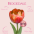 Tulipan Ridgedale (2).png