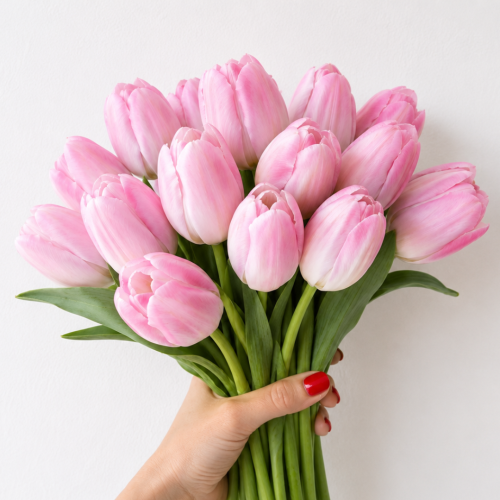 Tulipan Mystic Van Eijk