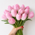 Tulipan Mystic Van Eijk