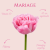 Tulipan Mariage