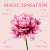 Tulipan Magic Sensation