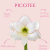 picotee