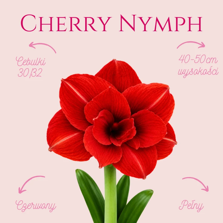 Cherry Nymph