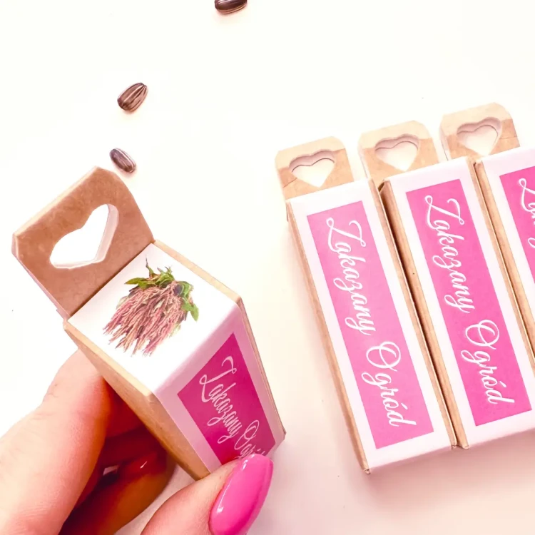 Słoneczniki - Pro Cut Peach F1