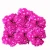 różowy goździk - Dianthus barbatus