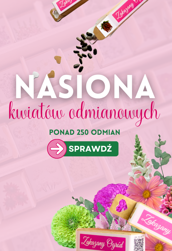 Nasiona kwiatów odmianowych