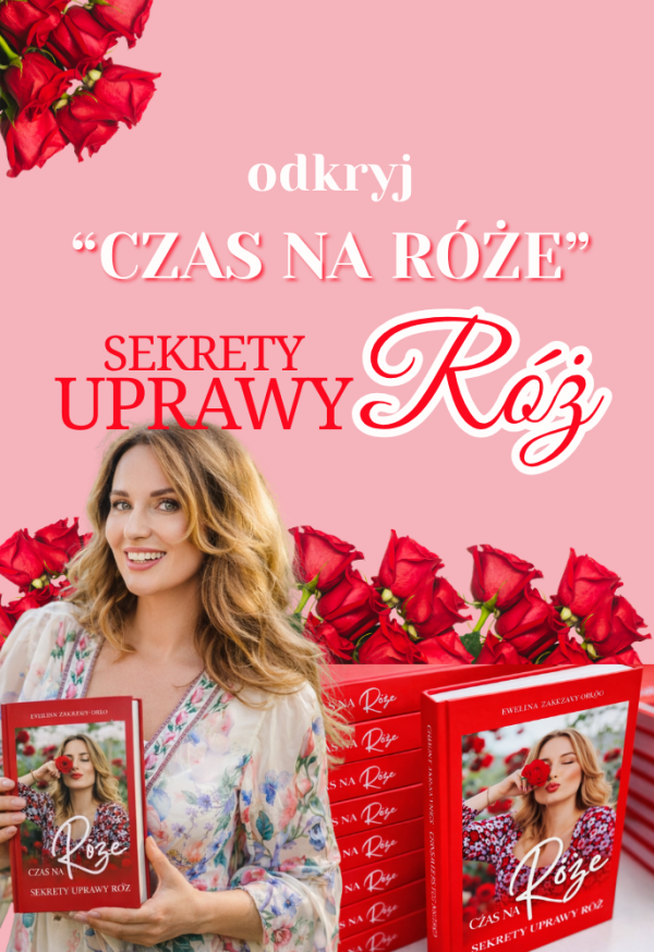 Czas na róże